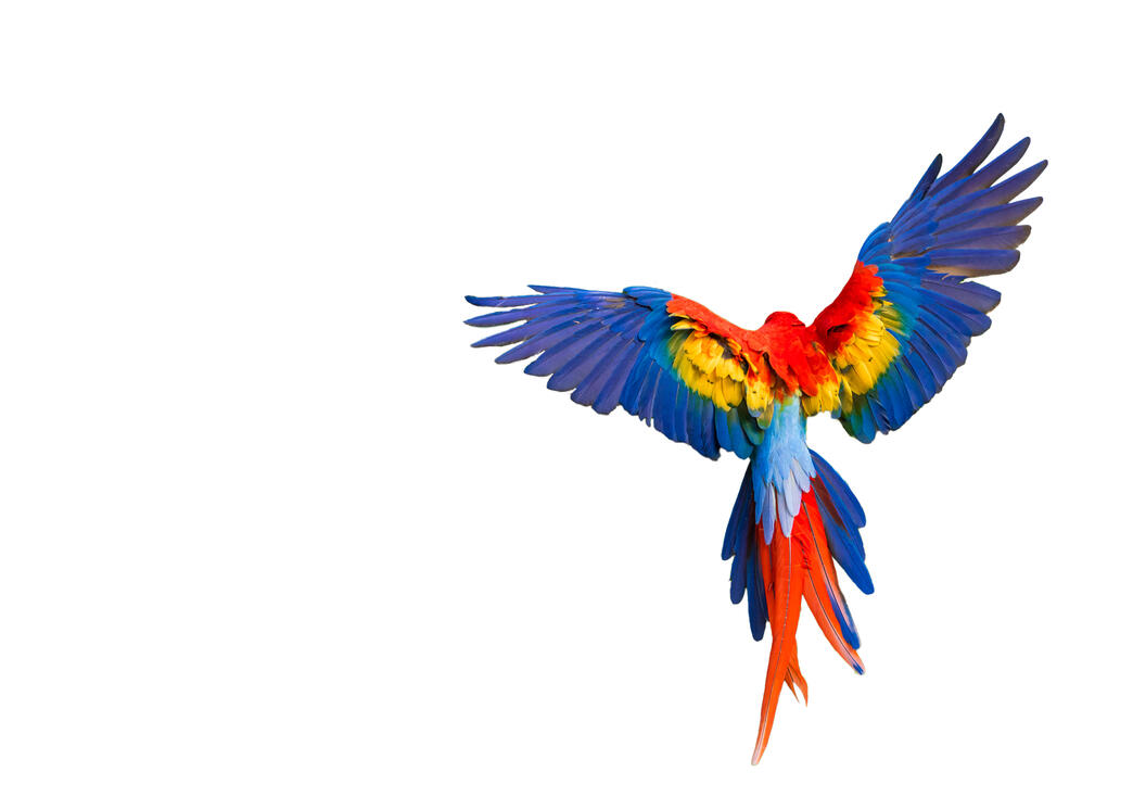 Advanced selection tool project